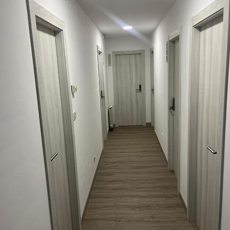 Rodeiro Hostal Y Albergue Carpinteiras מראה חיצוני תמונה